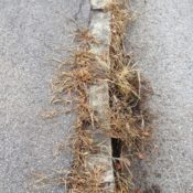 Unkrautbekämpfung
