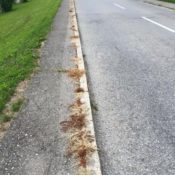 Unkrautbekämpfung